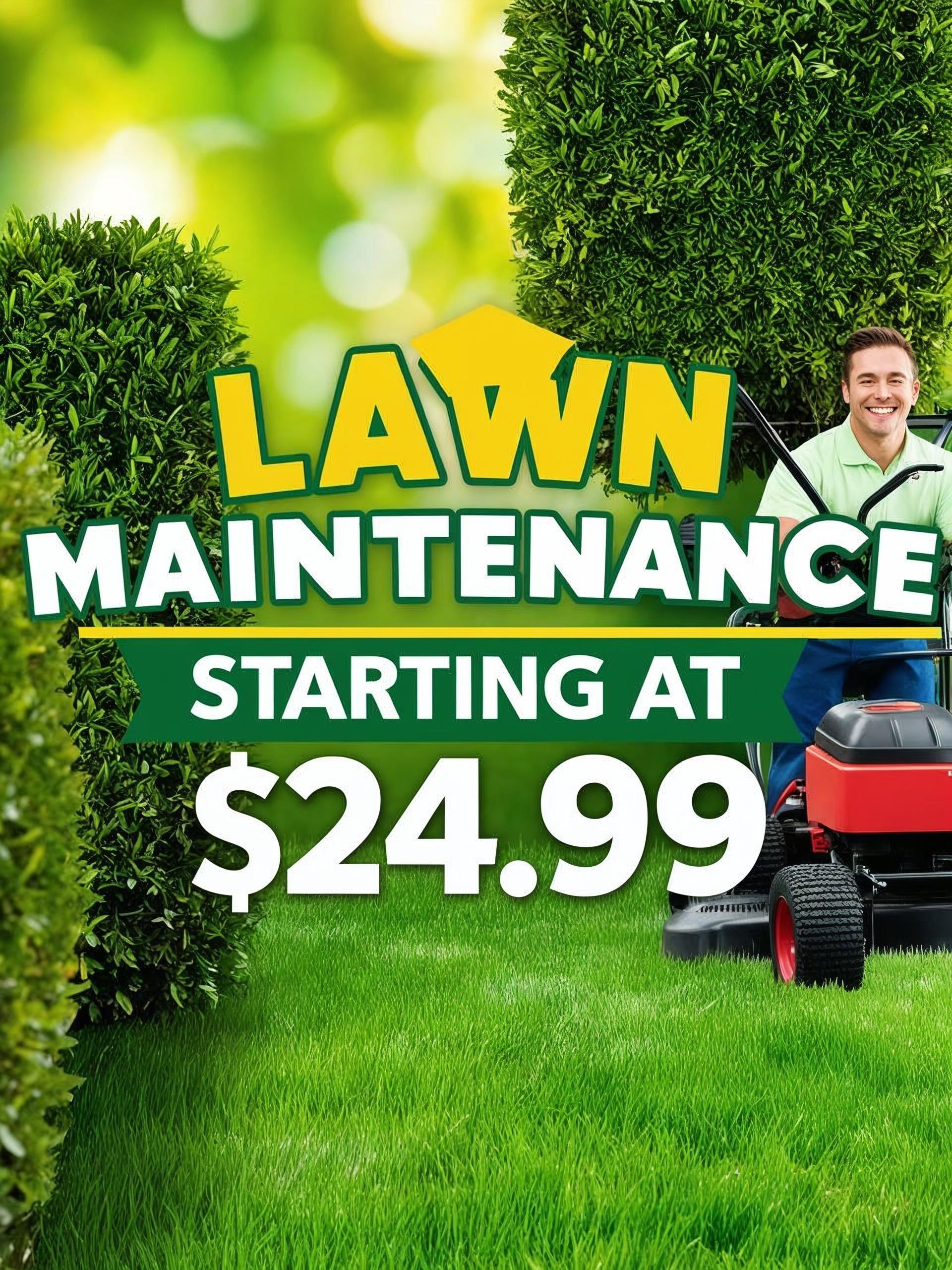 Professional lawn mowing service